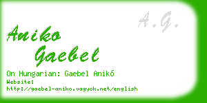aniko gaebel business card